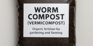 Vermicompost