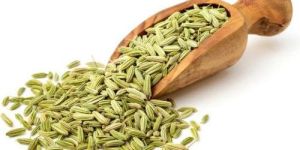Fennel Seeds