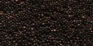 Black Pepper