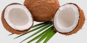 Fresh Coconut