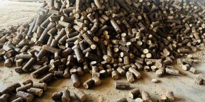 Pinewood Biomass Briquettes