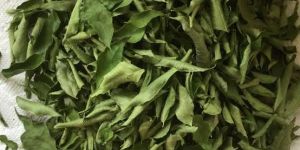 Dry Curry Leaves