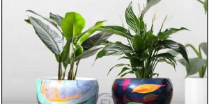 colorful designer iron pot planter set