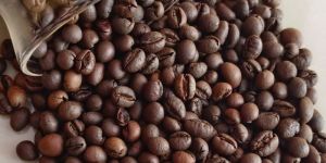 Robusta Coffee Beans