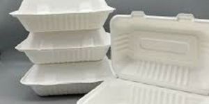 Bagasse Clamshell Box
