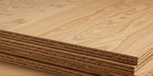 NEEM WOOD Plywood