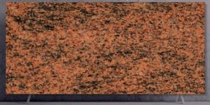 Red Multi Granite Slabs