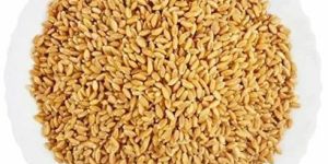 a Grade Wheat Grain