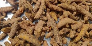 Unpolished Turmeric Finger