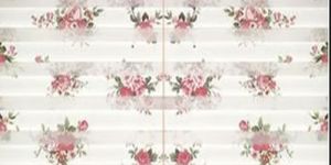 Printed Zebra Roller Blind