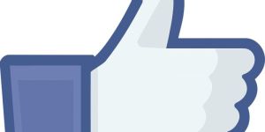 Social Media Marketing Service