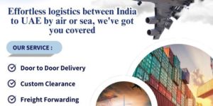 india to uae courier logistics service