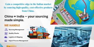 india to china logistics services
