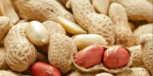 Shelled Groundnuts