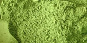 Dehydrated Moringa Powder