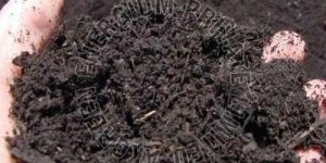 Bio Tech Organic Manure