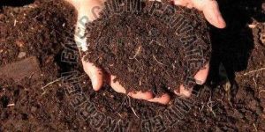 Brown Organic Manure