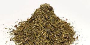 Abies Spectabilis Talispatra Herb