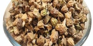 Brown Dried Gokhru Seeds