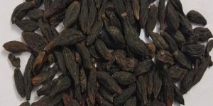 Dried Black Himej Seeds
