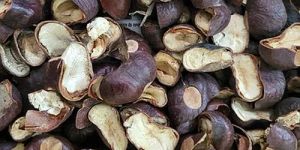 Dried Horse Chestnut