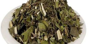 Green Dry Adusa Leaves