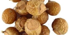 Organic Dried Soap Nuts