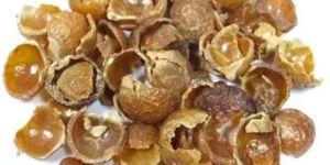 Seedless Soap Nut Shell