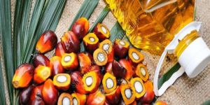 Refined Palm Oil