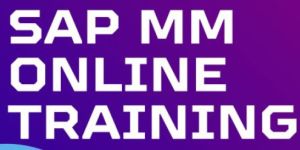 Sap Online Training