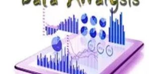 Data Analysis Service