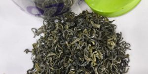 Green Tea Sftgfop National