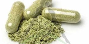 Prostate Health Support Capsule