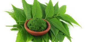 Neem Leaves Powder