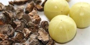 Dehydrated Amla Flakes