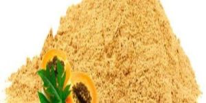 Dehydrated Papaya Powder