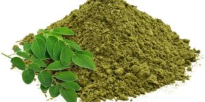 Moringa Oleifera Powder