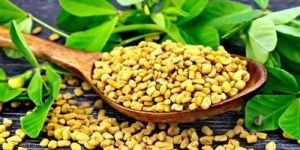 Natural Fenugreek Seeds