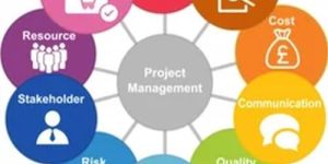 Project Management Services