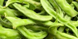 Fresh Green Hyacinth Beans