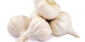 a Grade Fresh Garlic