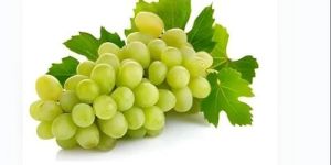a Grade Fresh Grapes