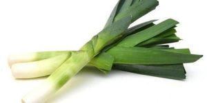 A Grade Fresh Leeks
