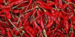 Dry Red Chilli