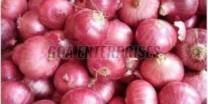 Fresh Red Onion