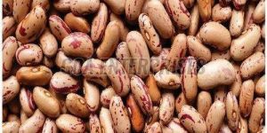 Organic Speckled Kidney Beans
