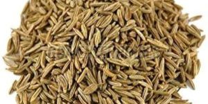 Shahi Cumin Seeds