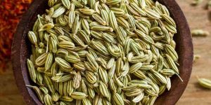 Fennel Seeds