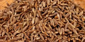 A Grade Brown Cumin Seeds