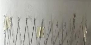 Zigzag Toy Gun Springs